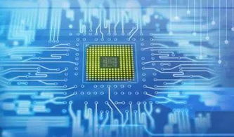 浙江大學(xué)信息技術(shù)類專業(yè) 前景廣闊的高薪就業(yè)之選